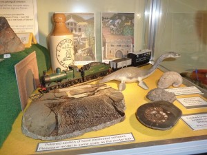 Plesiosaur to the same scale as a GWR train