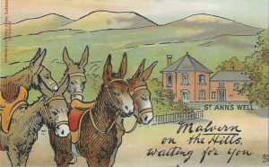Malvern Water Cure Loan Box donkeys