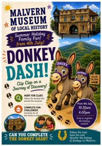 Donkey summer fun